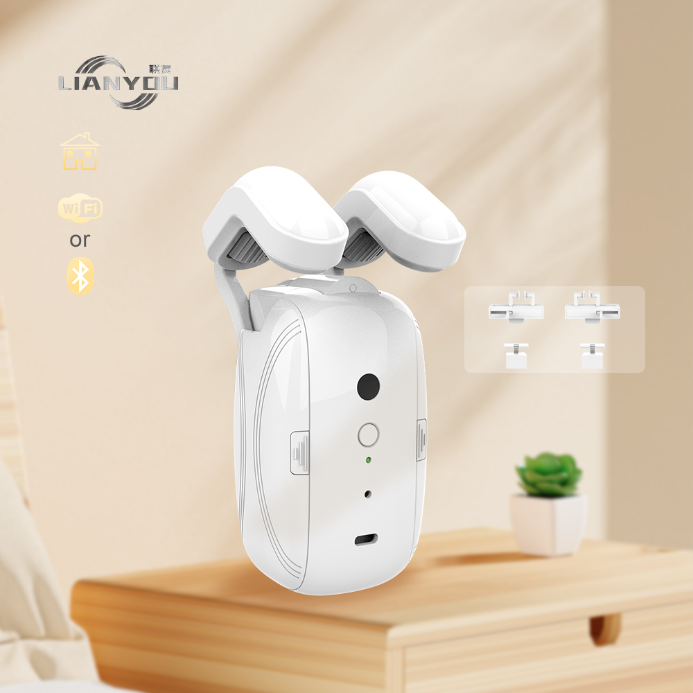 Home Office Google - Tuya Wifi BT Smart Curtains Robot
