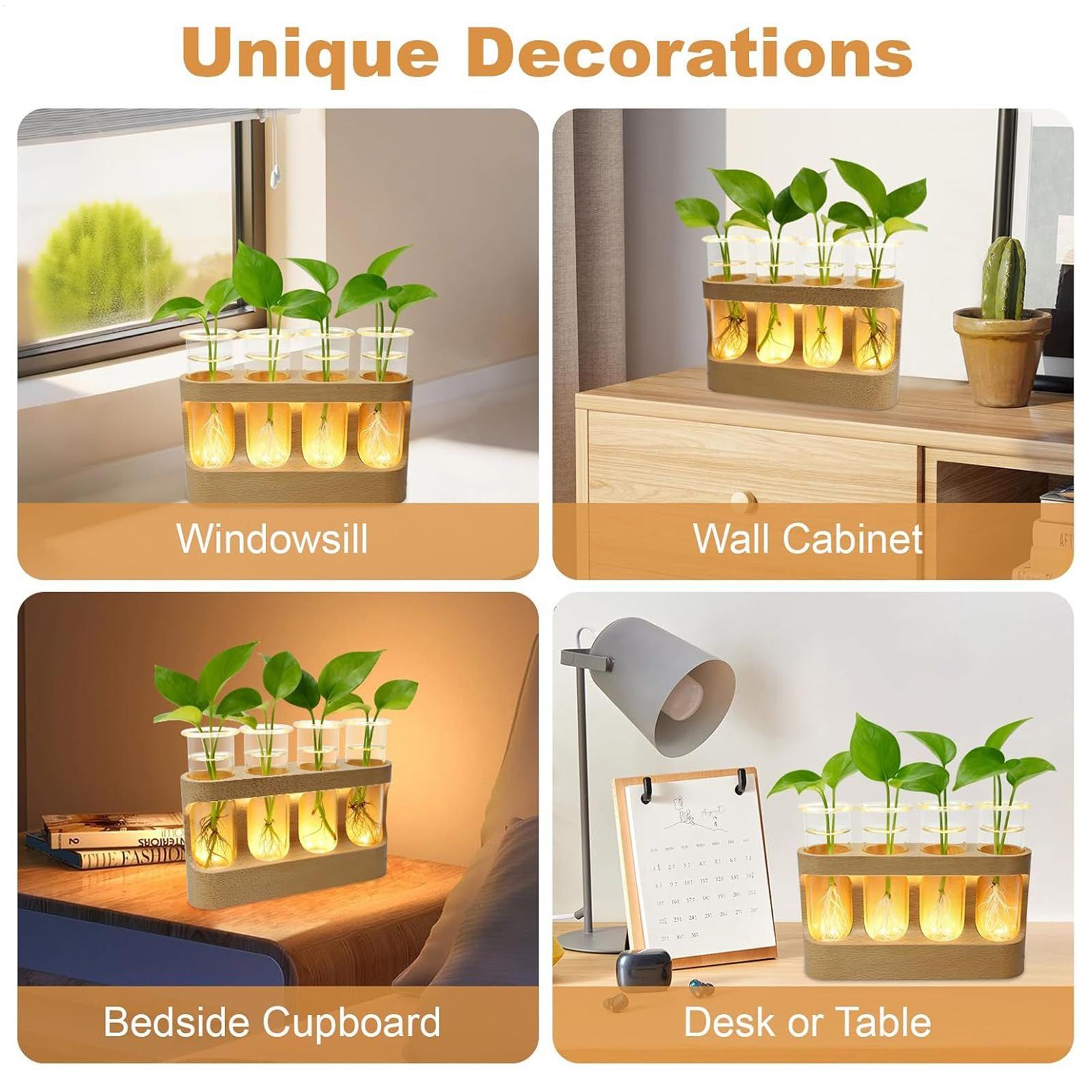 LED Plant Propagation Station  - Home Office Youtube 评论和价格