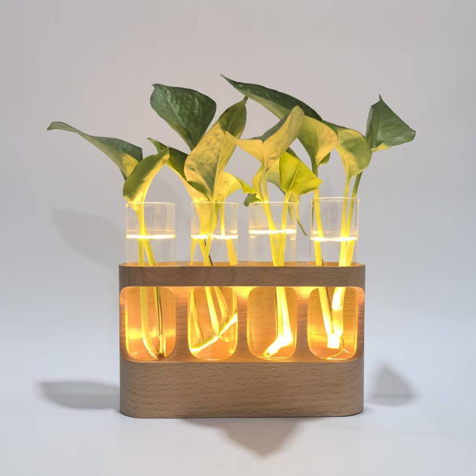 LED Plant Propagation Station  - Home Office Youtube 评论和价格