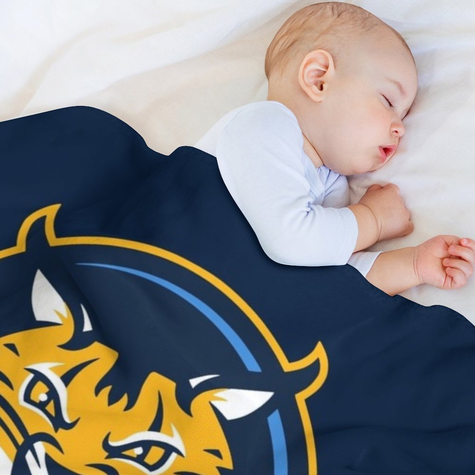 the Bobcats Quinnipiac-icon Th - Home Office Icon 评论和价格