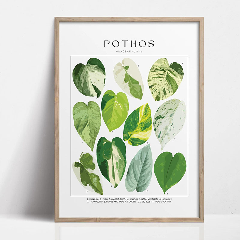 1pc Modern Houseplants Leaves  - Home Office Youtube 评论和价格