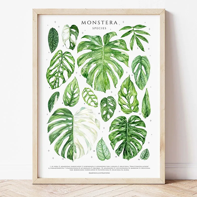 1pc Modern Houseplants Leaves  - Home Office Youtube 评论和价格