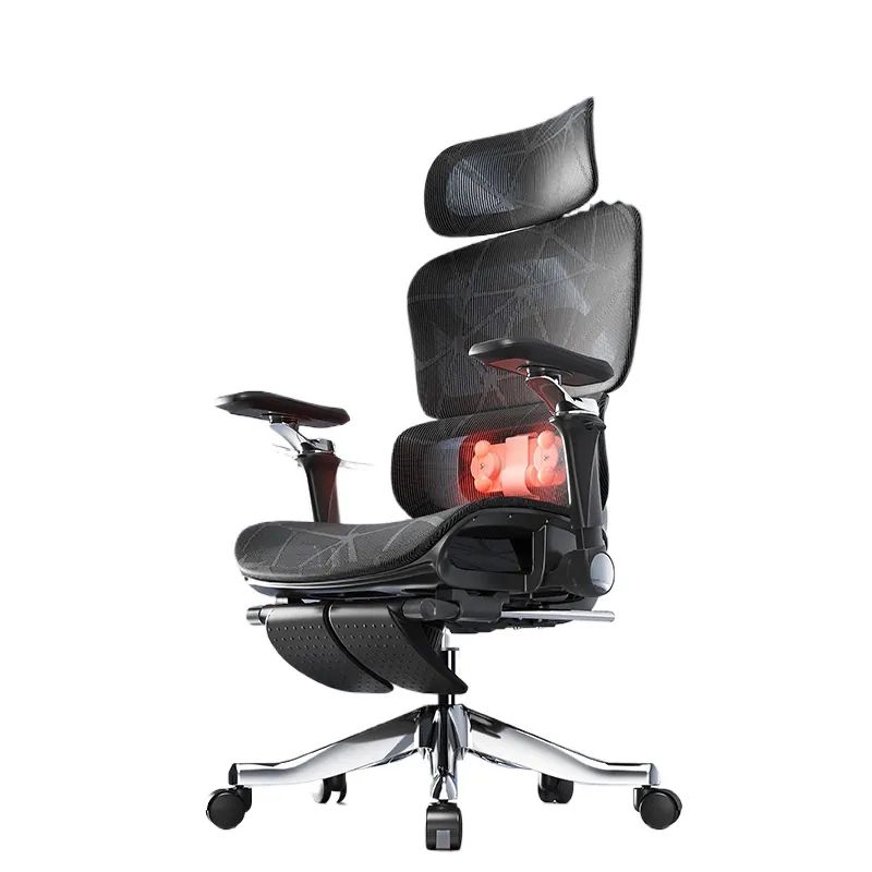 Ergonomic Massage Lumbar Suppo - Home Office Chair 评论和价格