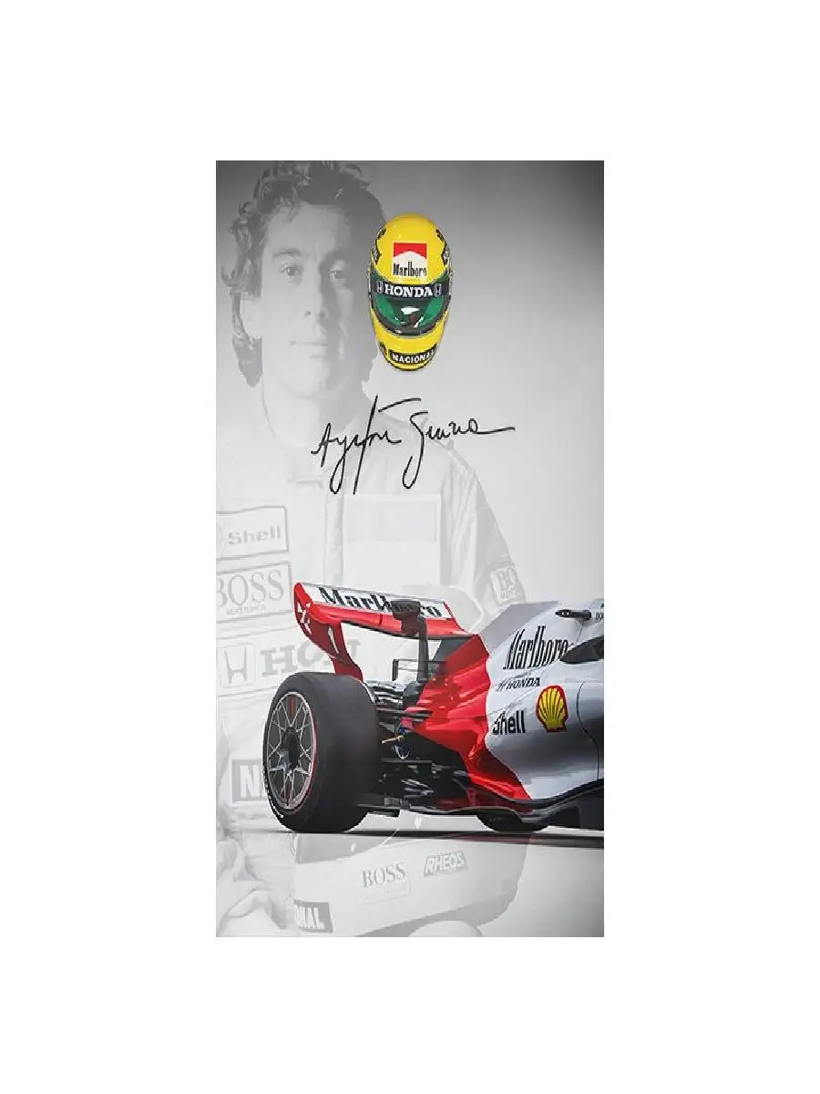 Ayrton Senna Grand Prix Racing - Home Office Icon 评论和价格