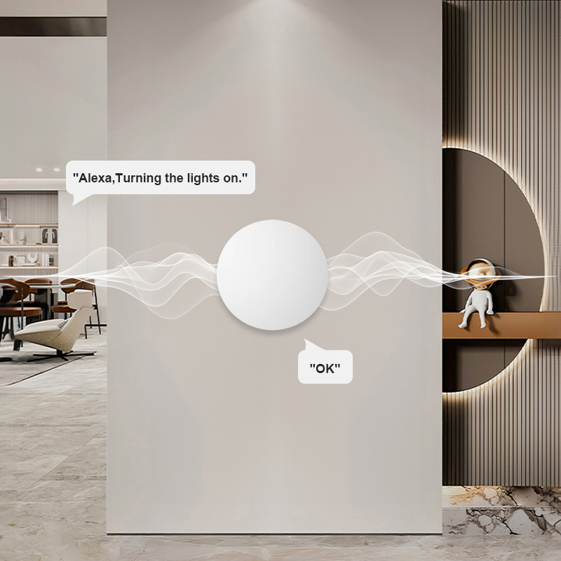 ZigBee Smart Wireless Button S - Home Office Google 评论和价格