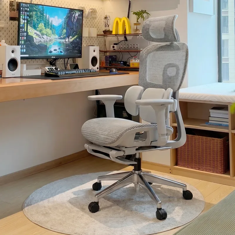 Ergonomic Office Chair with Lu - Home Office Chair 评论和价格