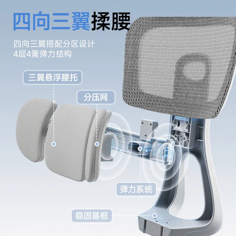 Ergonomic Office Chair with Lu - Home Office Chair 评论和价格