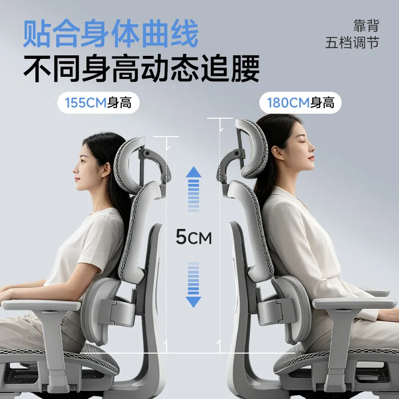 Ergonomic Office Chair with Lu - Home Office Chair 评论和价格