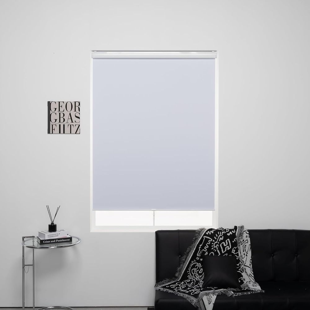 Blackout Blinds for Windows, E - Home Office Windows 评论和价格