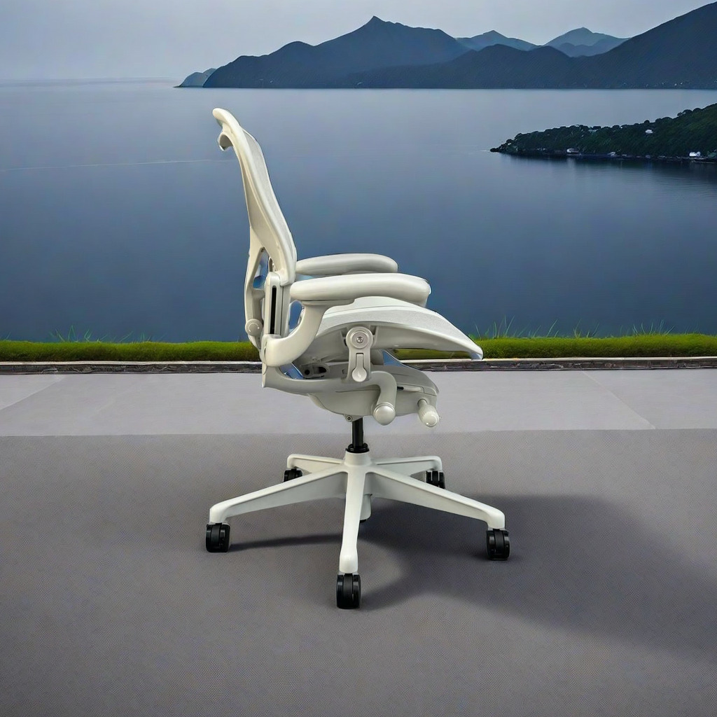 Representative ergonomic chair - Home Office Representative 评论和价格