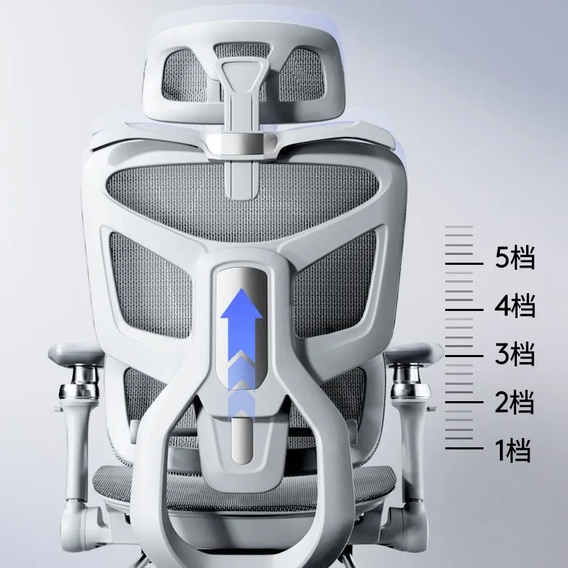 Ergonomic Computer Chair with  - Home Office Chair 评论和价格